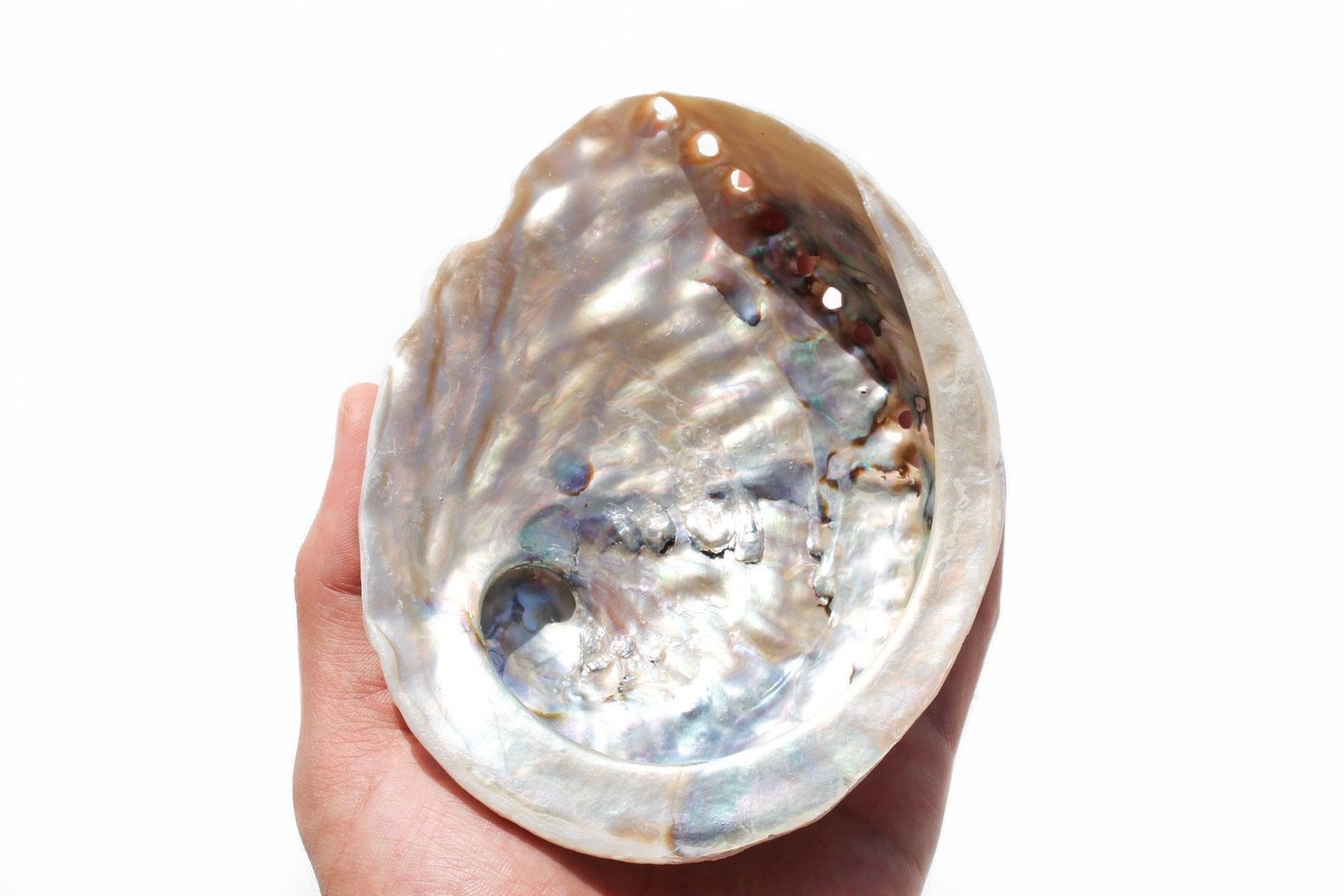 98F9E8E9 1C41 4789 AE5F CF7900E02C6B