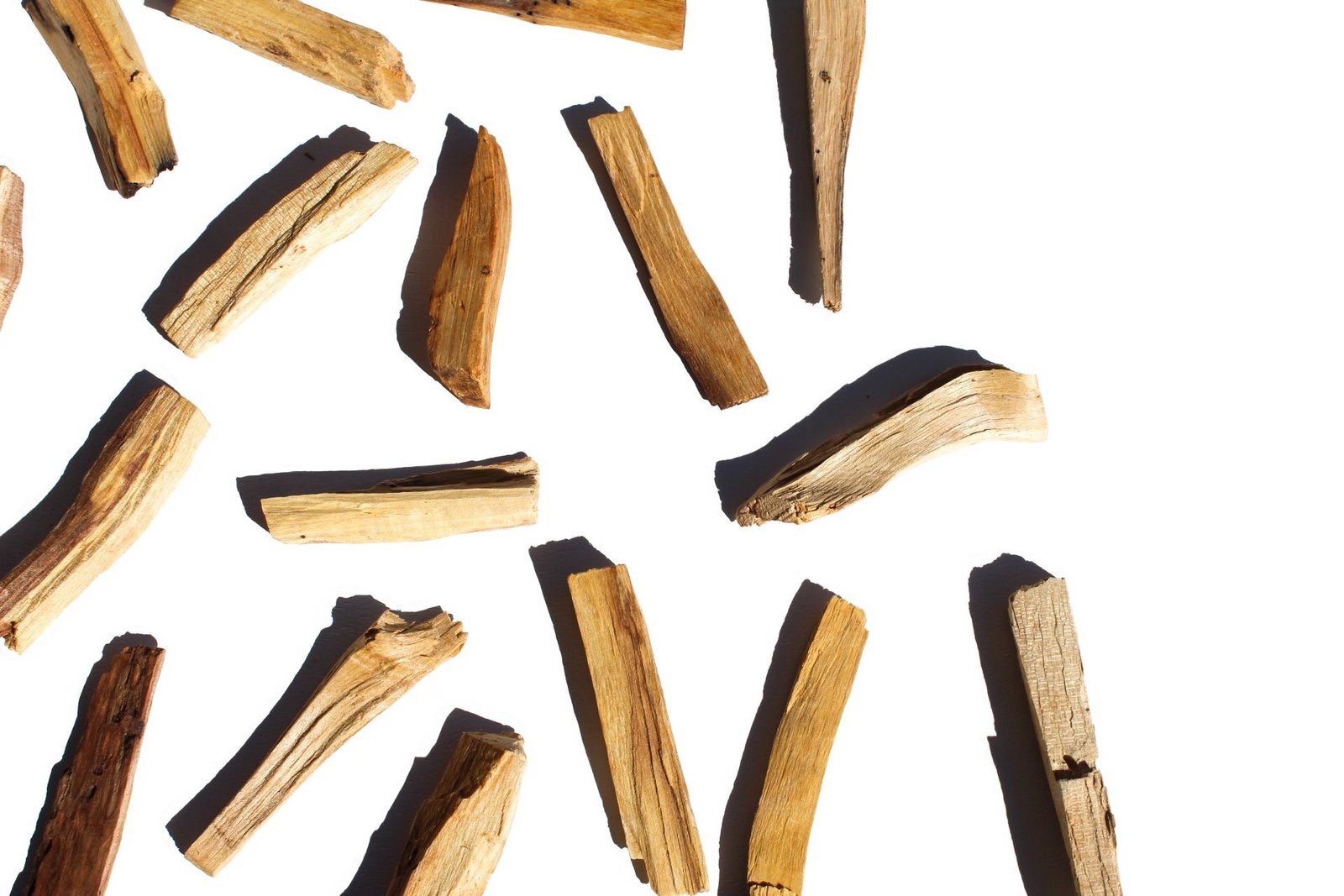 72D1E3F0-08A7-4938-96E1-CD5AAFAC84B5 72D1E3F0 08A7 4938 96E1 CD5AAFAC84B5