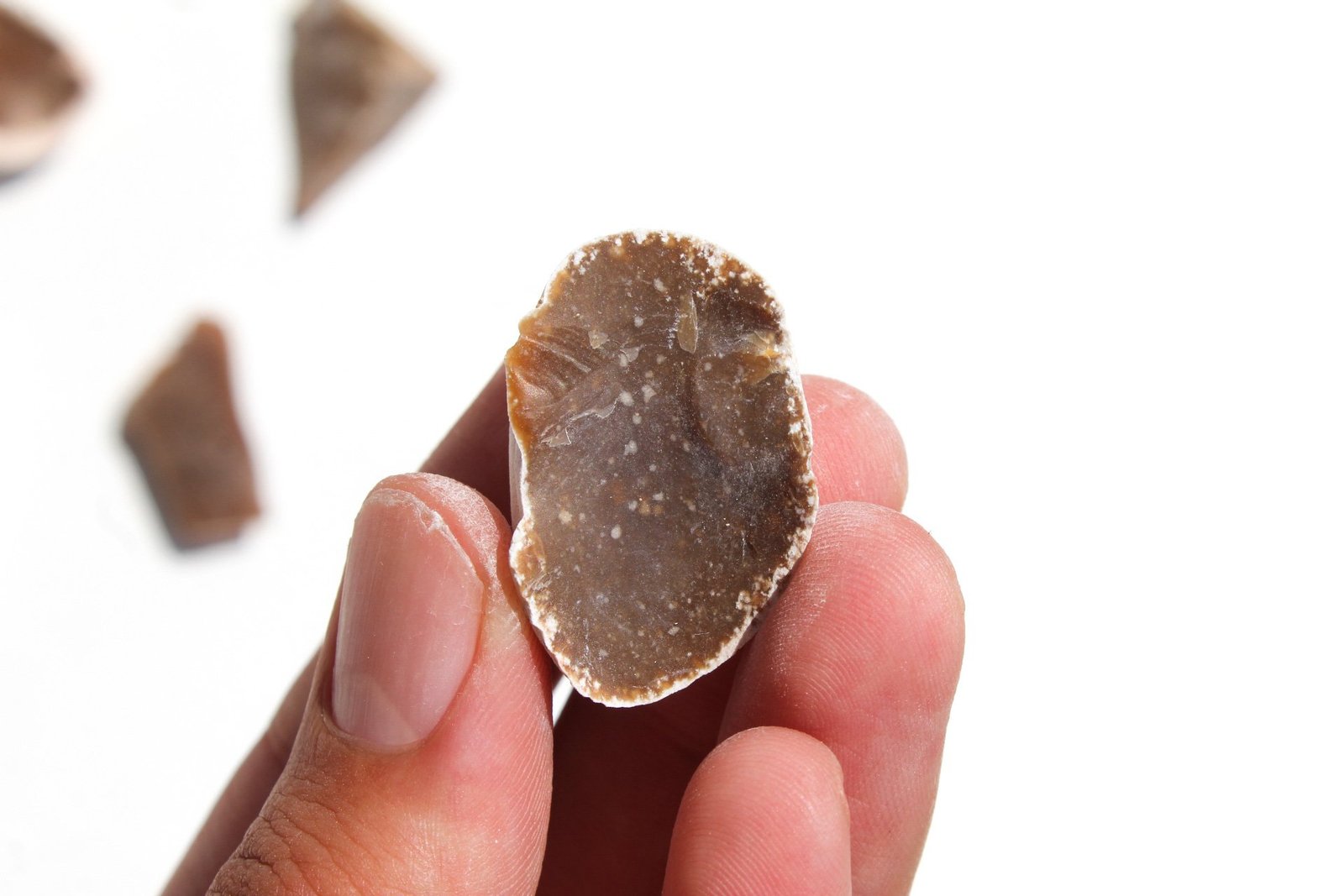 B133D136 DCE0 432B B1F9 4C4D6B77BAEC