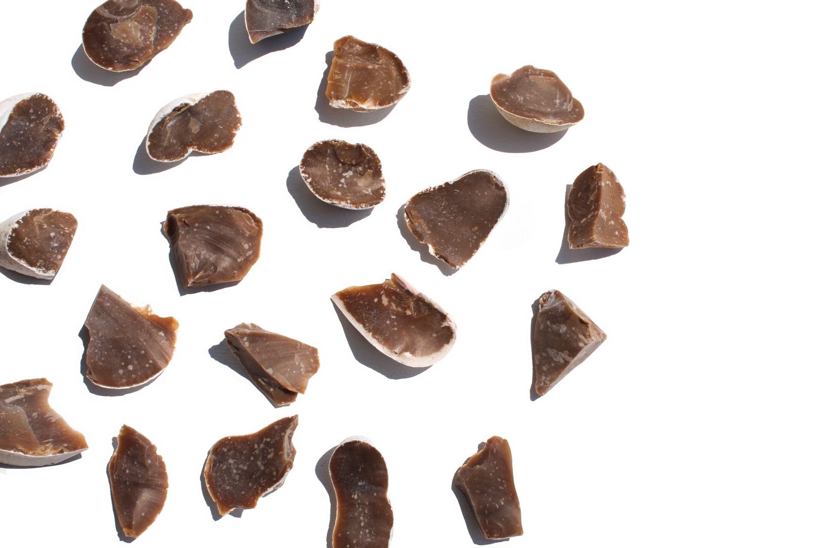 FA7AD2F7 95CB 4196 9A91 487B07144A1C