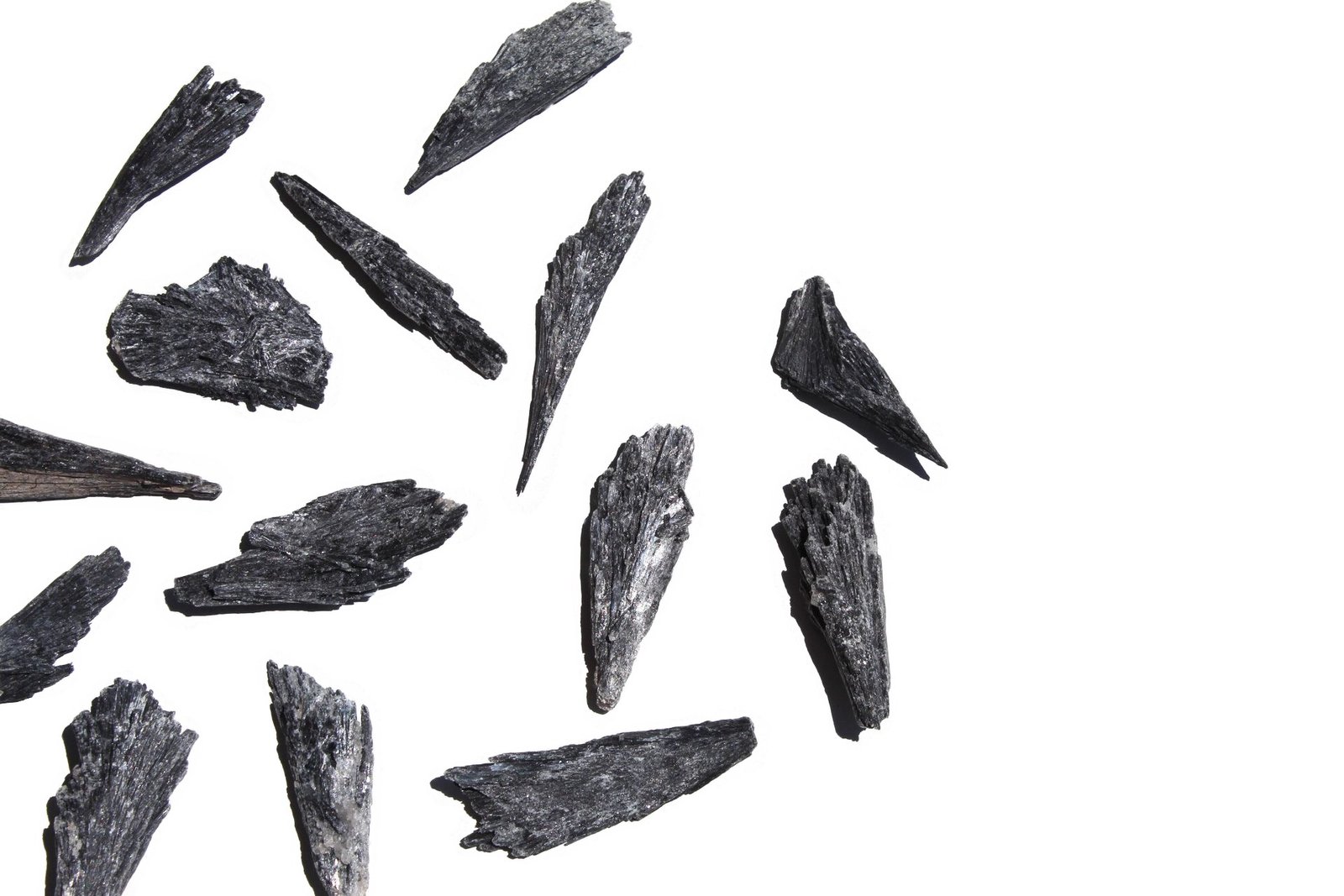 2969AA1D 9407 47F2 A0F3 9D2046BD67AF