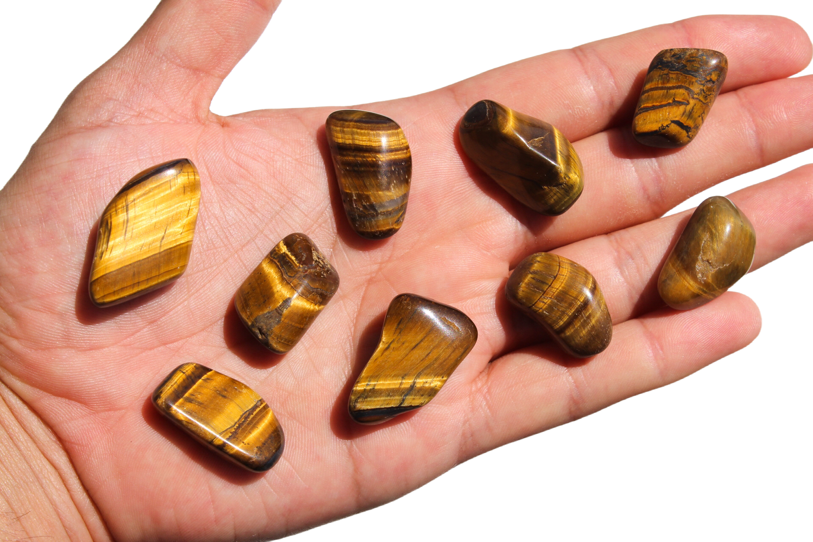 olho de tigre rolado