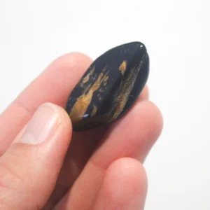 Olho de Falcão (Outlet)