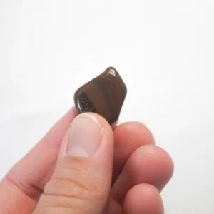 Olho de Tigre (Outlet)