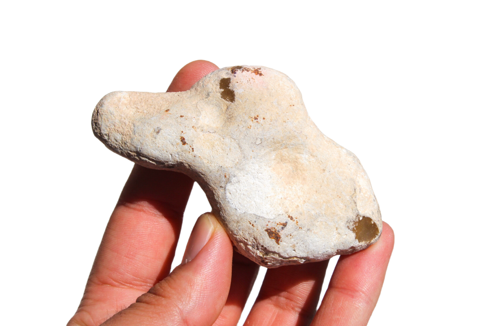 opala-menilite-41810 (2) opala menilite