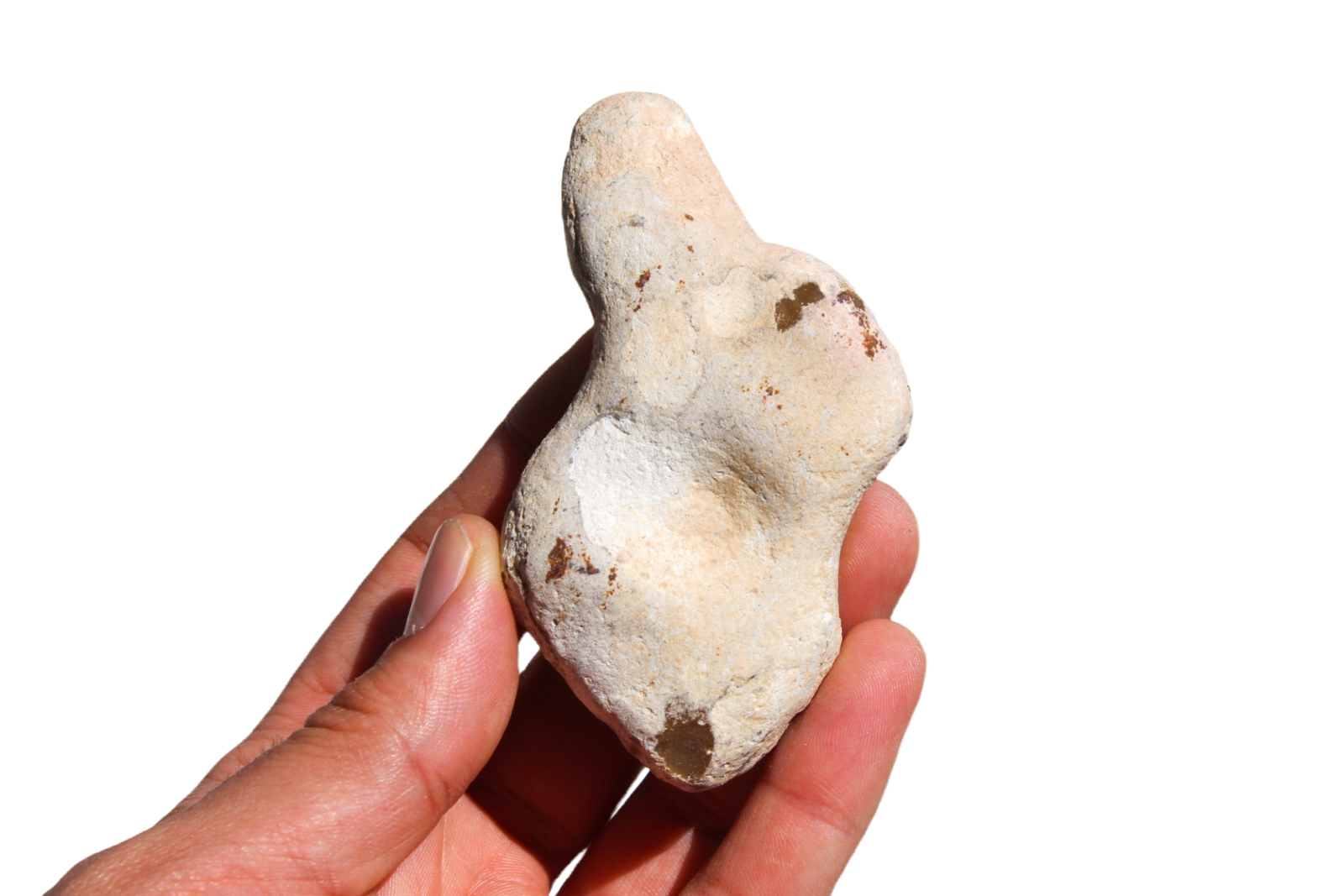 opala-menilite-41810 (3) opala menilite