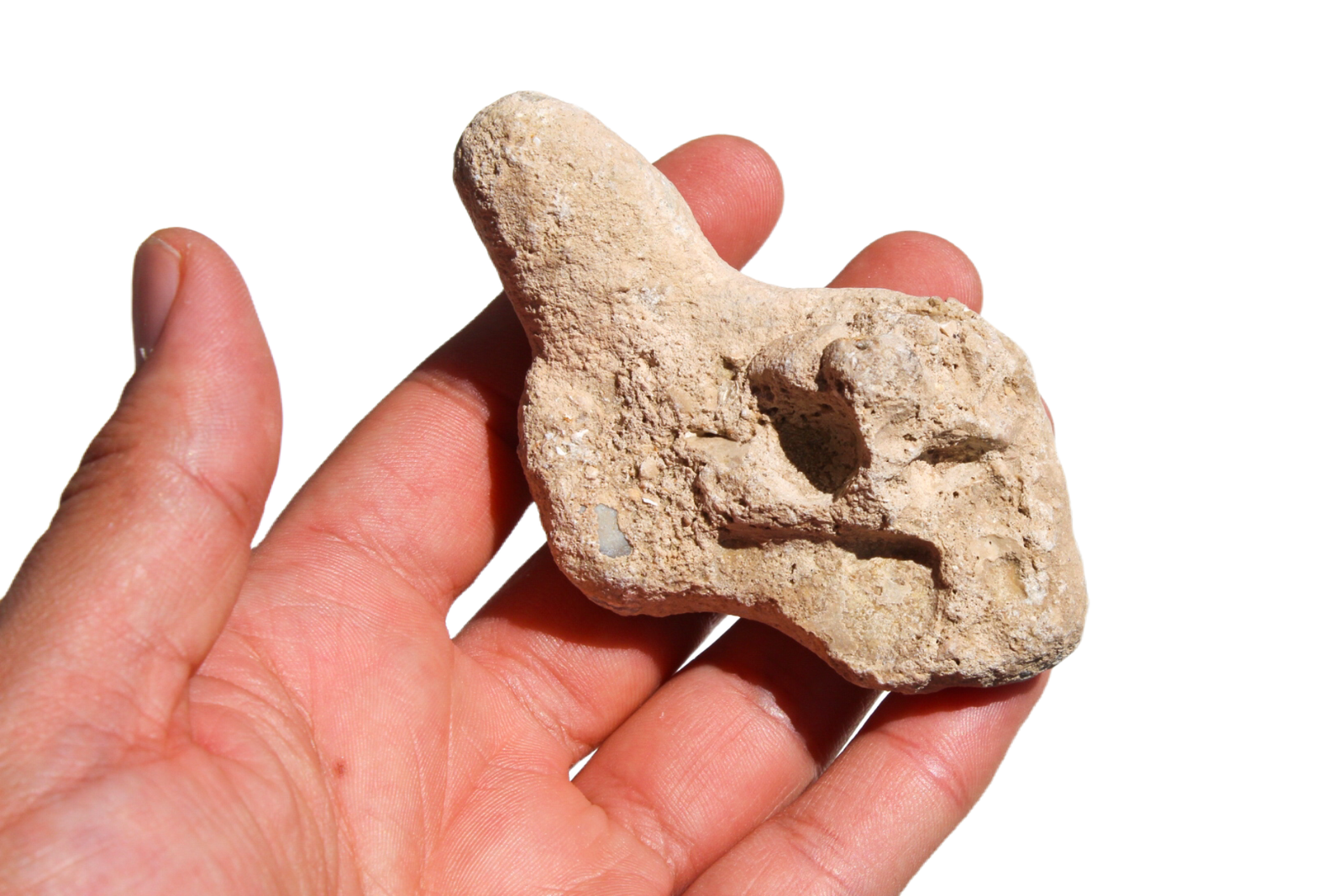 opala-menilite-41810 (4) opala menilite