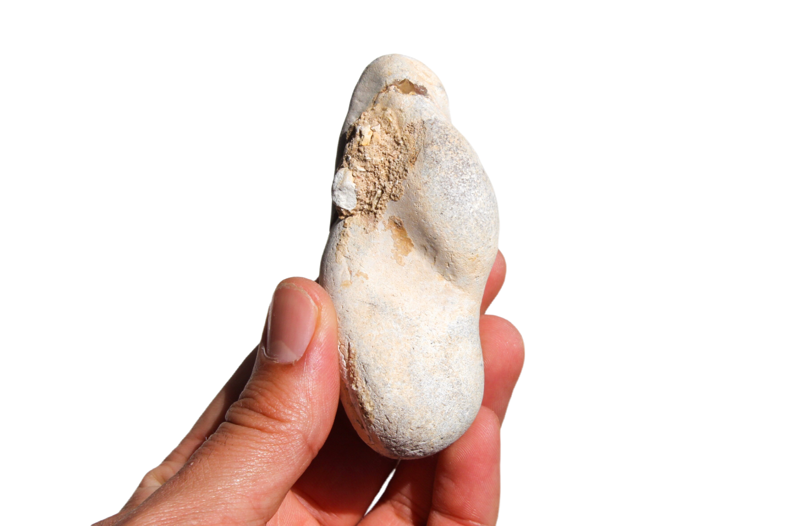 opala-menilite-45461 (3) opala menilite