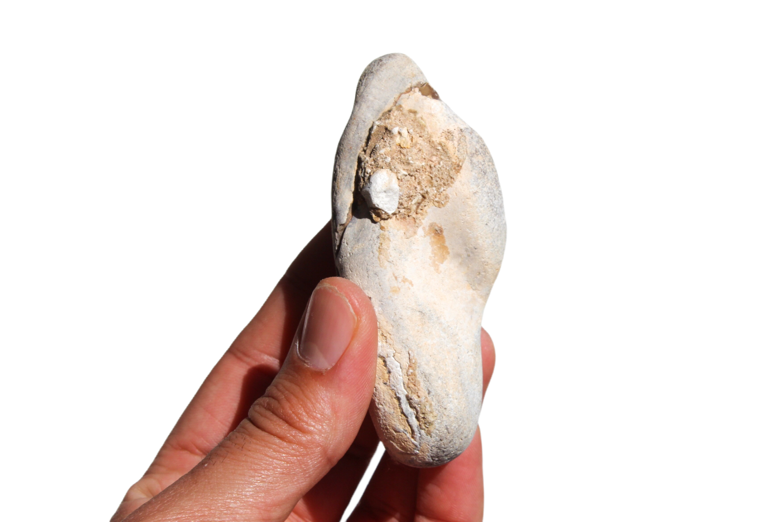 opala-menilite-45461 (4) opala menilite