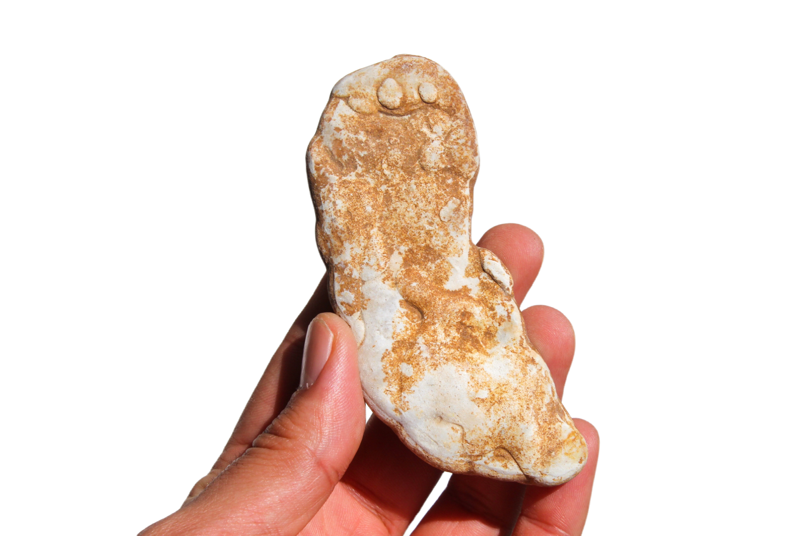 opala-menilite-45462 (2) opala menilite