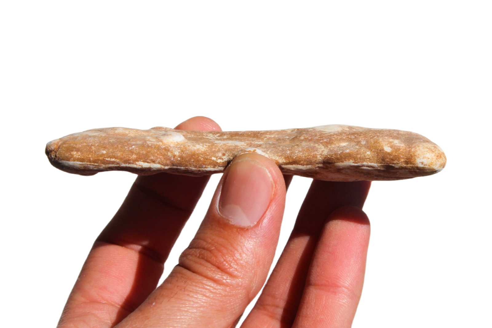 opala-menilite-45462 (4) opala menilite