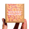 mystery-box-leão (2) mystery box leao 2