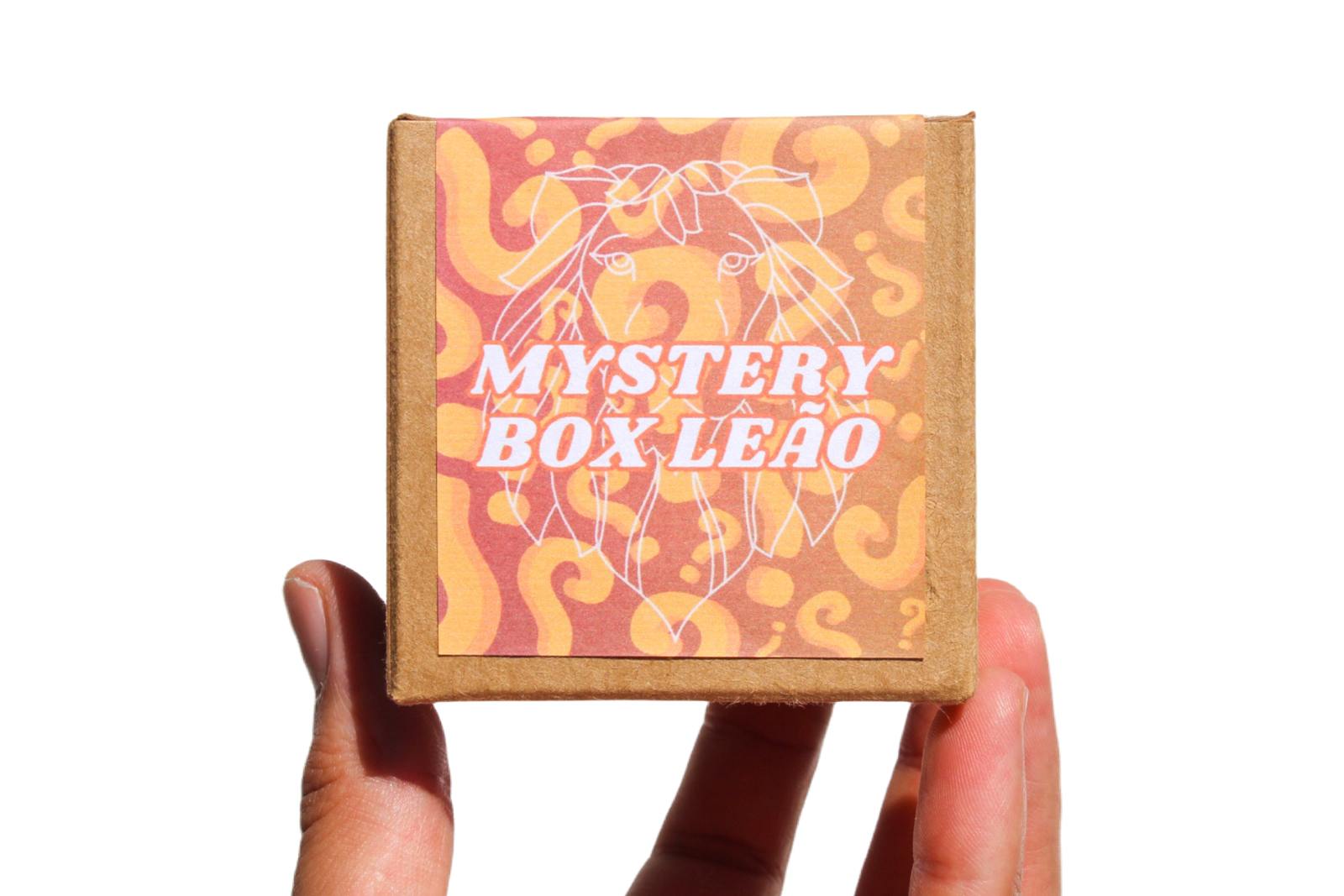 mystery-box-leão (2) mystery box leao 2