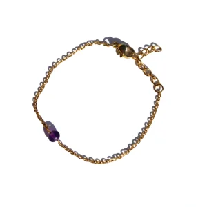 Pulseira Birthstone Fevereiro - Ametista (Dourado/Prateado)