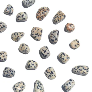 Jaspe Dálmata Rolado Mini