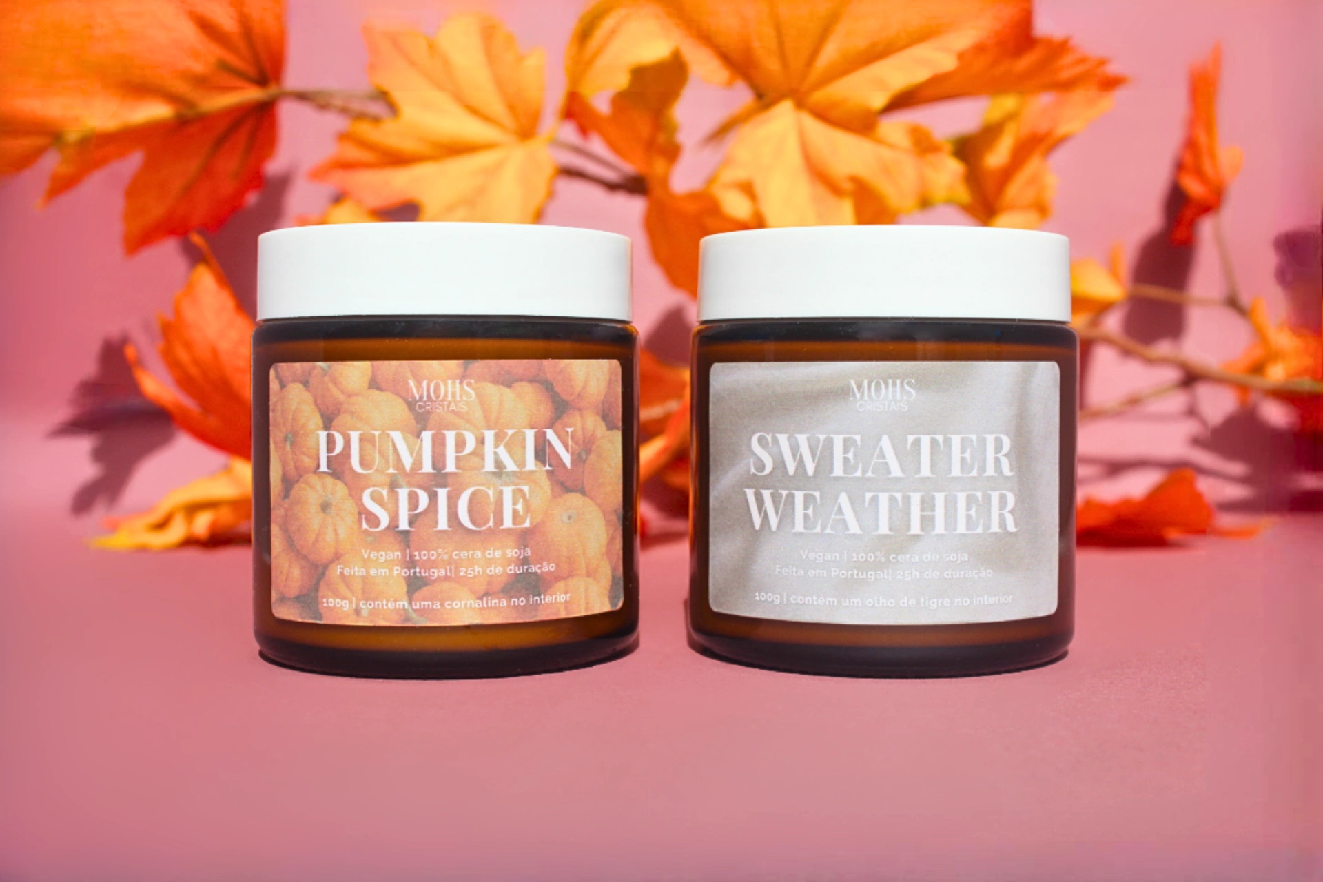 bundle-outono-2025 bundle outono 2025